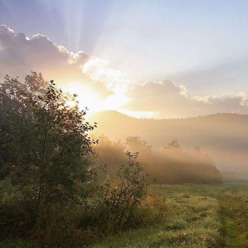 Sunrise Care Advisers provides support and care advice to help you navigate through the care system, so you can manage the care needs of elderly relatives.
