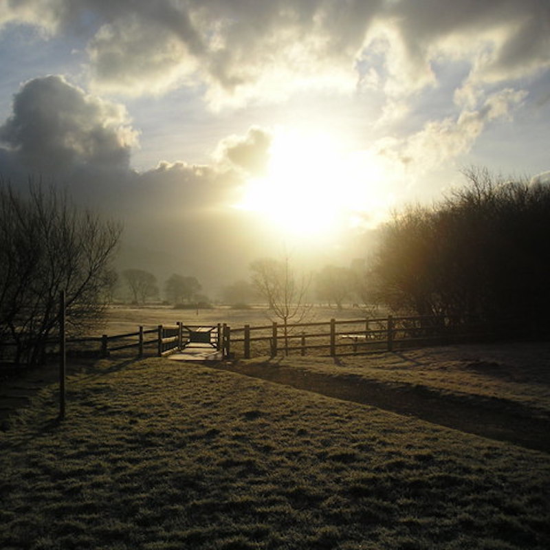 Sunrise Care Advisers provides support and care advice to help you navigate through the care system, so you can manage the care needs of elderly relatives.